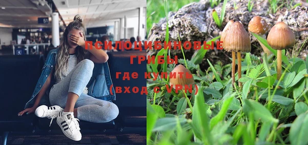 мдпв Абаза