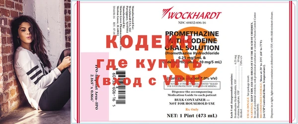молекула духа Лагань
