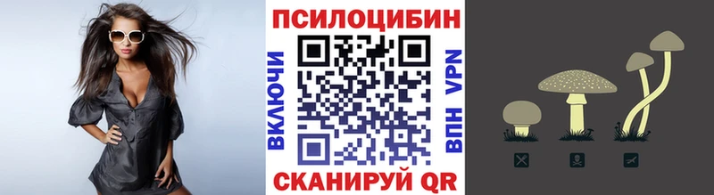 даркнет наркотические препараты  Полтавская  Галлюциногенные грибы прущие грибы  где найти наркотики 